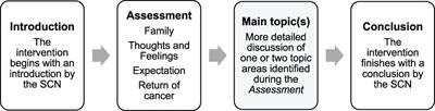 Development and Testing of a Novel Measure to Assess Fidelity of Implementation: Example of the Mini-AFTERc Intervention